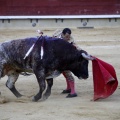 Castellón, Magdalena 2013