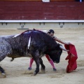 Castellón, Magdalena 2013