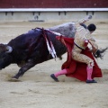 Castellón, Magdalena 2013