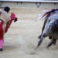 Castellón, Magdalena 2013