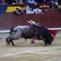 Castellón, Magdalena 2013
