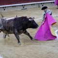 Castellón, Magdalena 2013