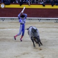 Castellón, Magdalena 2013