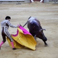 Castellón, Magdalena 2013