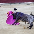 Castellón, Magdalena 2013