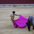 Castellón, Magdalena 2013