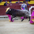 Castellón, Magdalena 2013