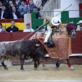 Castellón, Magdalena 2013