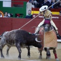 Castellón, Magdalena 2013