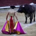 Castellón, Magdalena 2013