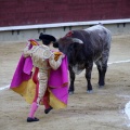 Castellón, Magdalena 2013
