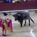 Castellón, Magdalena 2013