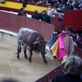 Castellón, Magdalena 2013