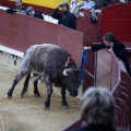 Castellón, Magdalena 2013