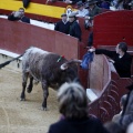 Castellón, Magdalena 2013