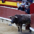 Castellón, Magdalena 2013