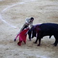 Castellón, Magdalena 2013