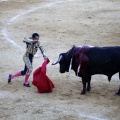 Castellón, Magdalena 2013