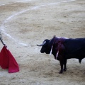 Castellón, Magdalena 2013
