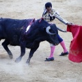 Castellón, Magdalena 2013