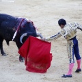 Castellón, Magdalena 2013