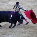 Castellón, Magdalena 2013