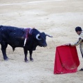 Castellón, Magdalena 2013