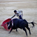 Castellón, Magdalena 2013