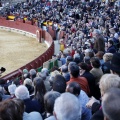 Castellón, Magdalena 2013