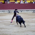 Castellón, Magdalena 2013