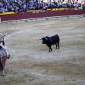 Castellón, Magdalena 2013