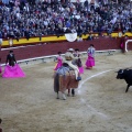 Castellón, Magdalena 2013