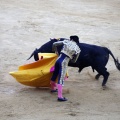 Castellón, Magdalena 2013