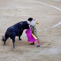 Castellón, Magdalena 2013