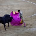 Castellón, Magdalena 2013