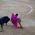 Castellón, Magdalena 2013