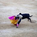 Castellón, Magdalena 2013