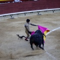Castellón, Magdalena 2013