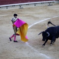 Castellón, Magdalena 2013