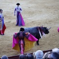 Castellón, Magdalena 2013