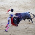 Castellón, Magdalena 2013