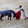 Castellón, Magdalena 2013