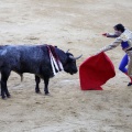 Castellón, Magdalena 2013