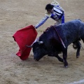 Castellón, Magdalena 2013