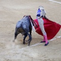 Castellón, Magdalena 2013