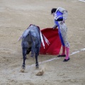 Castellón, Magdalena 2013