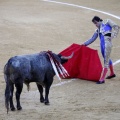 Castellón, Magdalena 2013