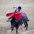 Castellón, Magdalena 2013