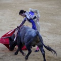 Castellón, Magdalena 2013