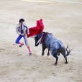 Castellón, Magdalena 2013